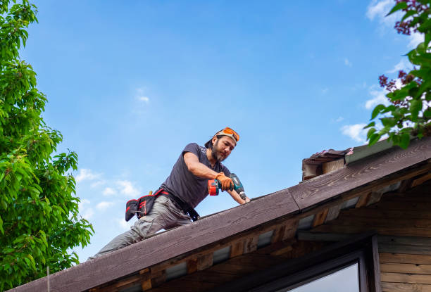 Best Commercial Roofing Services  in Fairview Heights, IL