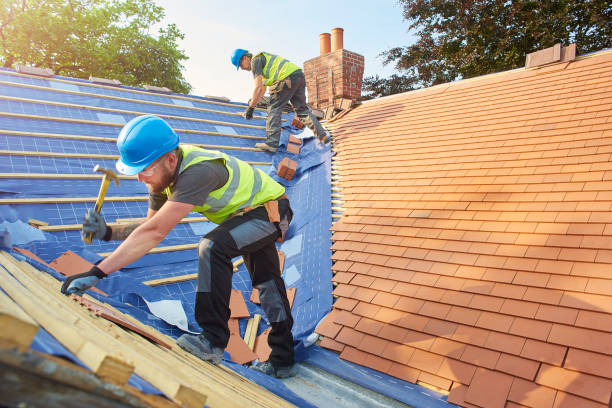 Best Cold Roofs  in Fairview Heights, IL